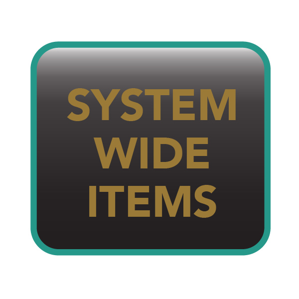 SYSTEM WIDE ITEMS Thumbnail